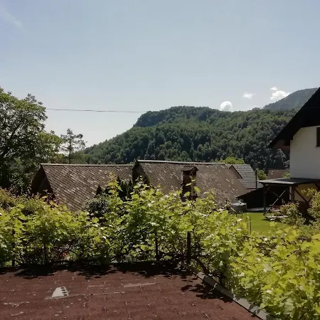 Apartment Bela Vista Bohinjska Bela